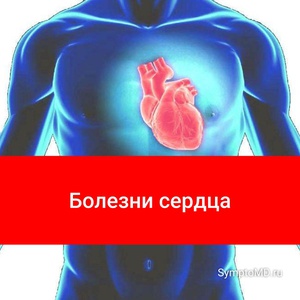 Симптомы болезней сердца